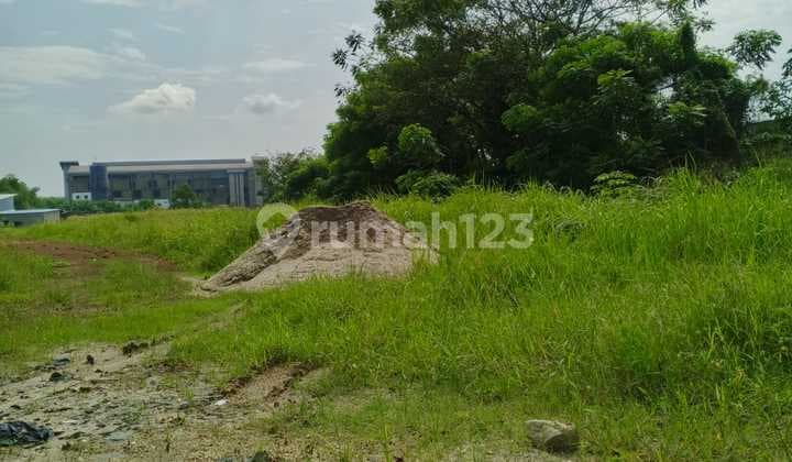 Di Sewakan lahan Di Desa Curug Gn Sindur Bogor