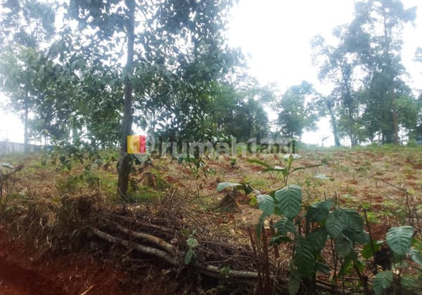 Kavling di Ds Batiombo Batang Jawa Tengah