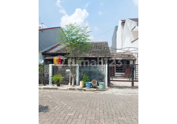 Rumah di Puri Anjasmoro Semarang Rumah di Puri Anjasmoro Semarang