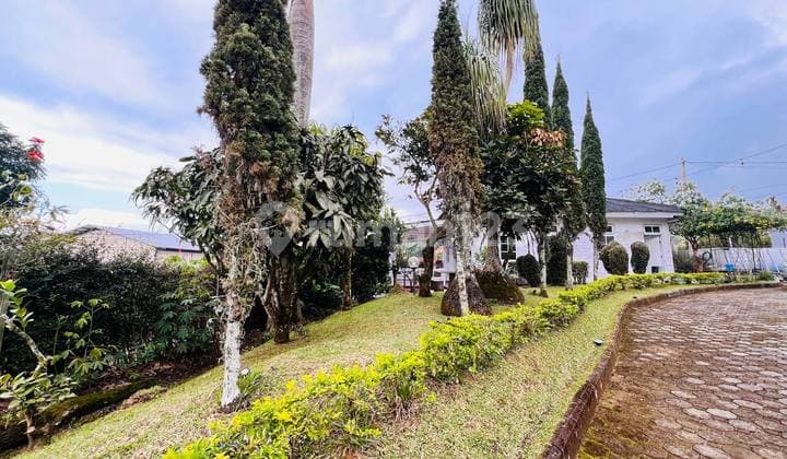 Villa Private di Puncak - Salah Satu Villa Tertinggi dengan Udara Paling Murni