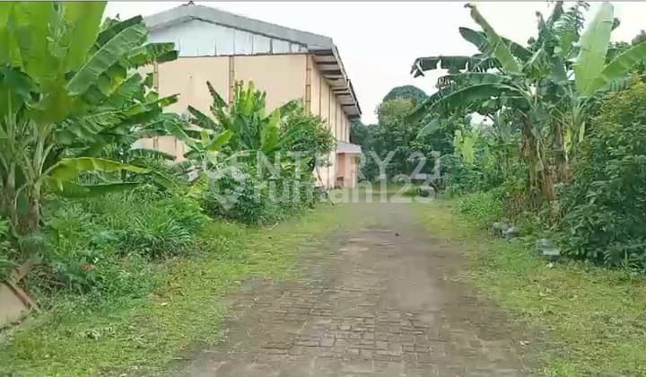 Strategic Commercial Land in Lenteng Agung, South Jakarta