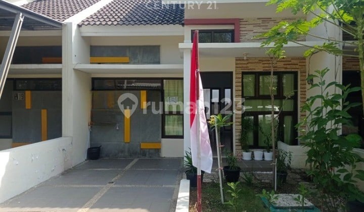 Disewakan Cepat Rumah Murah Perumahan Celtic Segara City Bekasi Disewakan Cepat Rumah Murah Perumahan Celtic Segara City Bekasi