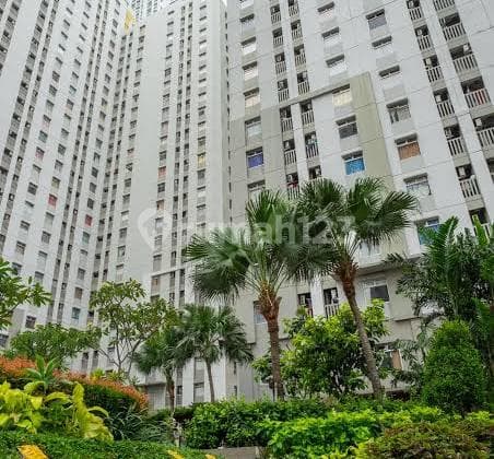 Disewakan Apartment Dengan City View Dan Beach View Di Pluit