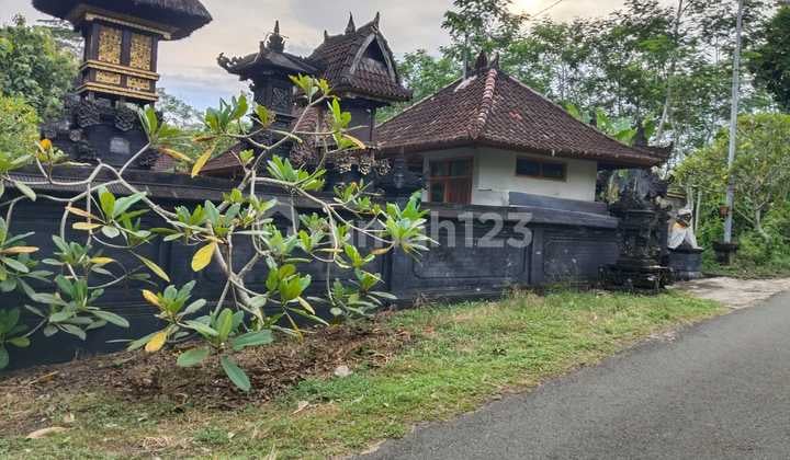 Dijual Cepat Tanah Kavling Strategis Di Pekutatan Jembrana Bali