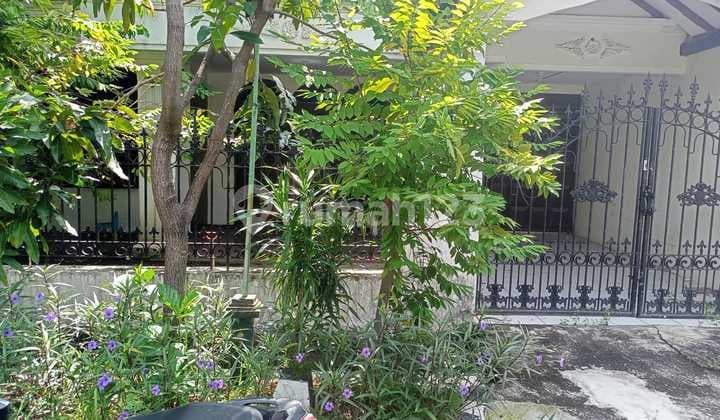Jual Cepat Rumah Strategis 6 Kamar Di Rungkut Surabaya Jawa Timur