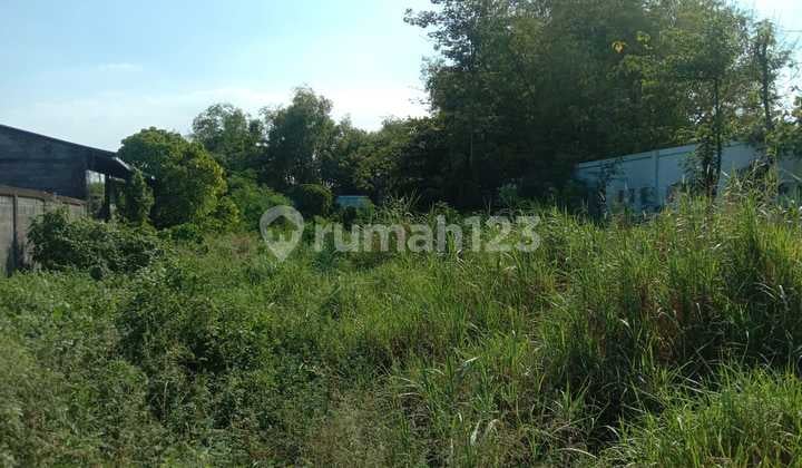 Dijual Tanah Kavling Untuk Gudang/industri Di Gresik Jawa Timur