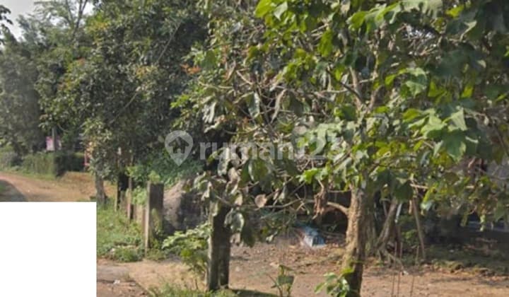 Jual Cepat Tanah Kavling Di Gunung Sindur Bogor