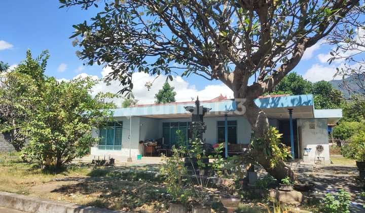 Jual Cepat Rumah Di Buleleng Bali Dengan Tanah Luas