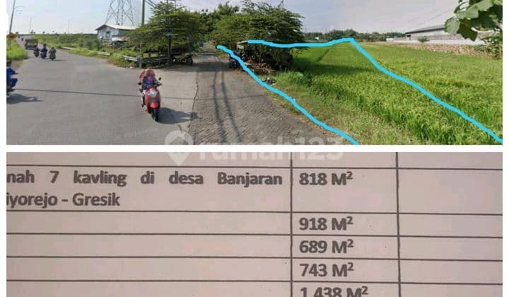 Dijual Tanah Sawah Bs untuk 7 Kavling Lokasi Strategis Dekat Fasilitas Utama di Driyorejo Gresik Jawa Timur