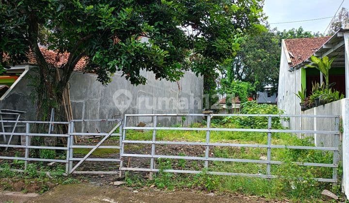 Tanah Murah Tembalang Dekat Undip Cocok Untuk Kos Kosan