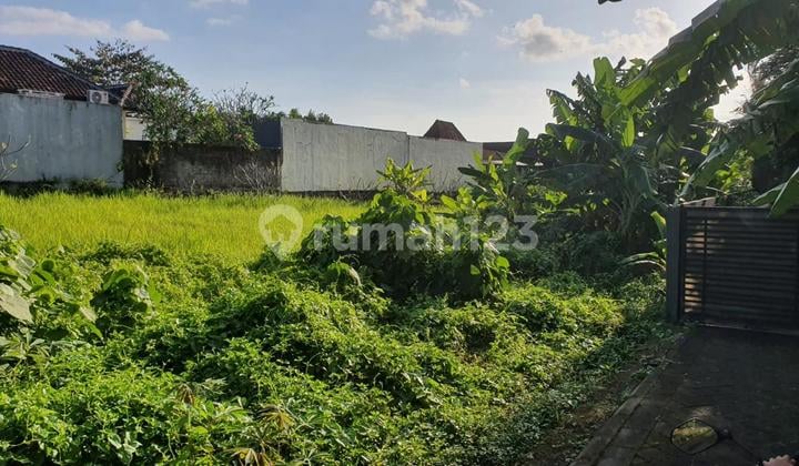 10 Are Land For Lease Strategically Located in Kerobokan
