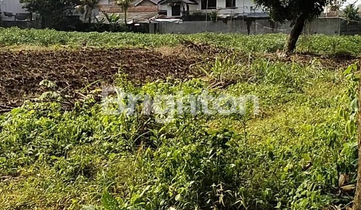 TANAH STRATEGIS PINGGIR JALAN KOTA BOGOR
