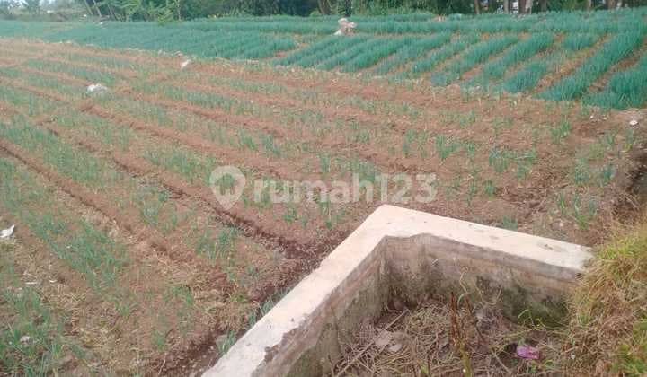 Dijual Tanah Ciwidey - Pasir Luhur