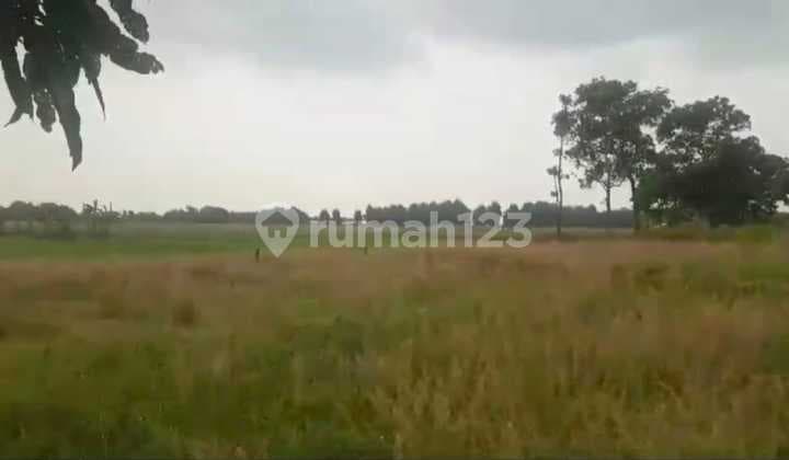 Dijual Tanah Industri - Cibogo, Subang