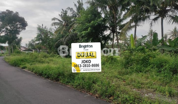 Land in the Sanjaya Muntilan road area.