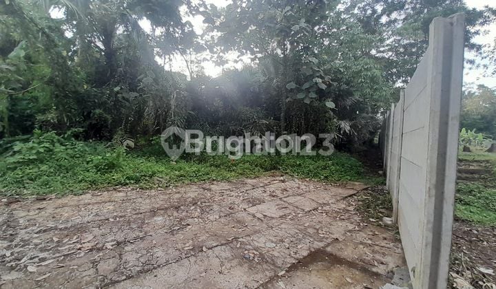 TANAH Daerah Cebongan Lor Mertoyudan