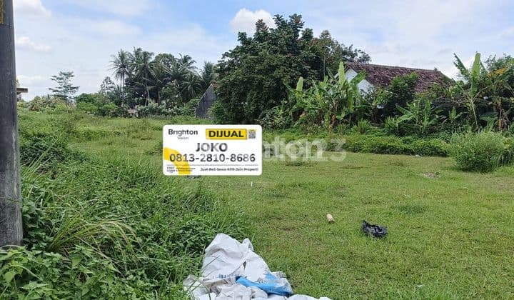 Tanah pekarangan depan pintu exit Rumah Sakit Merah Putih.