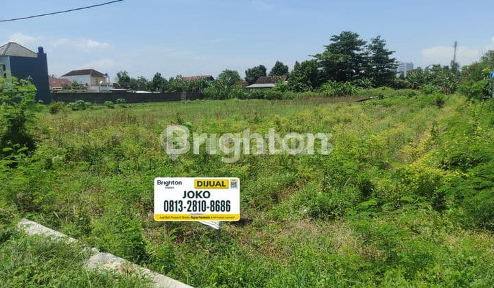 Tanah Sawah dekat The Residence