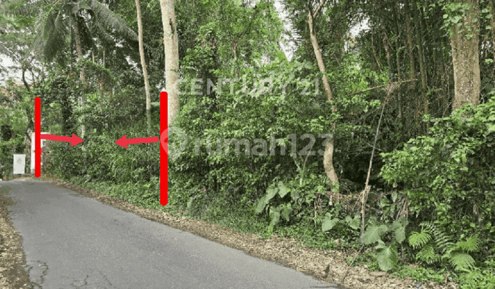 Tanah Luas dan Strategis dengan View Indah di Ubud Bali