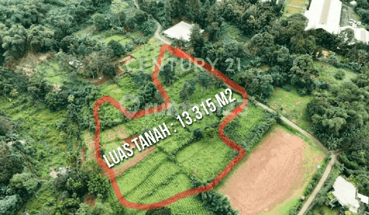 Tanah Strategis Cocok untuk Villa Resort di Gunung Guelis Bogor