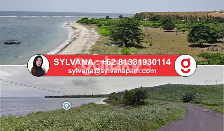 Sumbawa Beachfront Land Direct Access And Surf Reef Capital