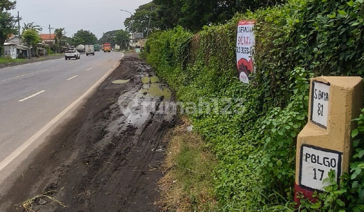 Raya Pantura Pasuruan Probolinggo Akses Kontainer Gudang Pabrik