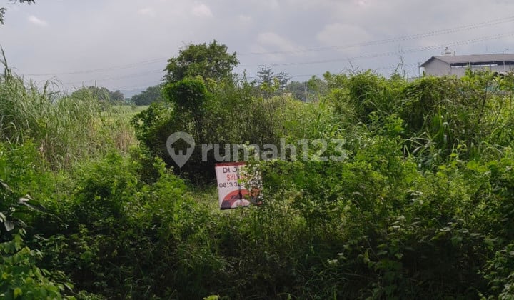 Tanah Raya Beji Pasuruan Dekat Polsek Beji, Gudang Indofood
