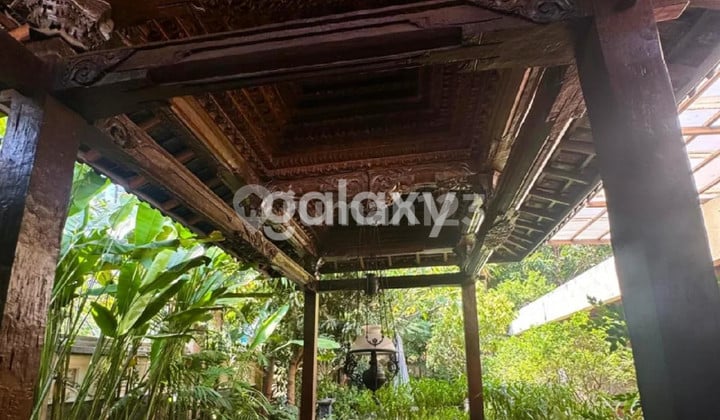 Dekat Raya Darmo, Imam Bonjol, Trunojoyo Cocok Buat Restaurant