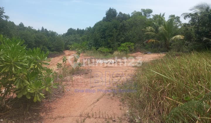 Dijual Lahan Industri Tb Karimun Ftz Harga Nego