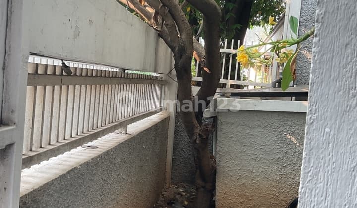 Dijual Rumah Bagus Siap Huni Komplekcempaka Putih Timur