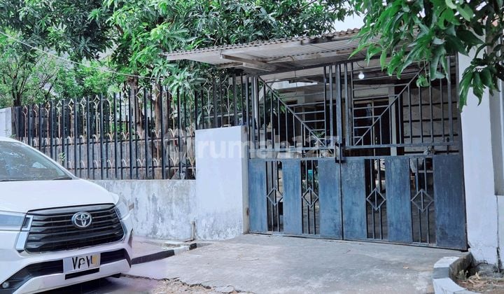 Dijual Rumah Hitung Tanah Super Murah Sukomanunggal Jaya Dijual Rumah Hitung Tanah Super Murah Sukomanunggal Jaya