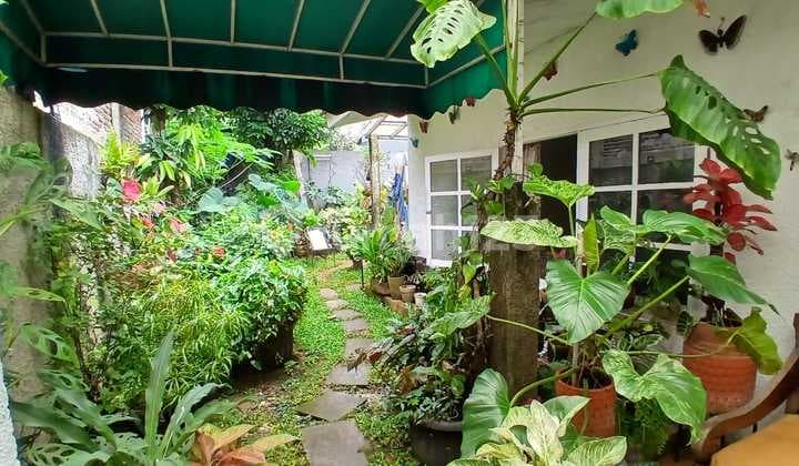 Rumah Asri di Cirendeu Jual Cepat, Murah, Nego Sampai Jadi