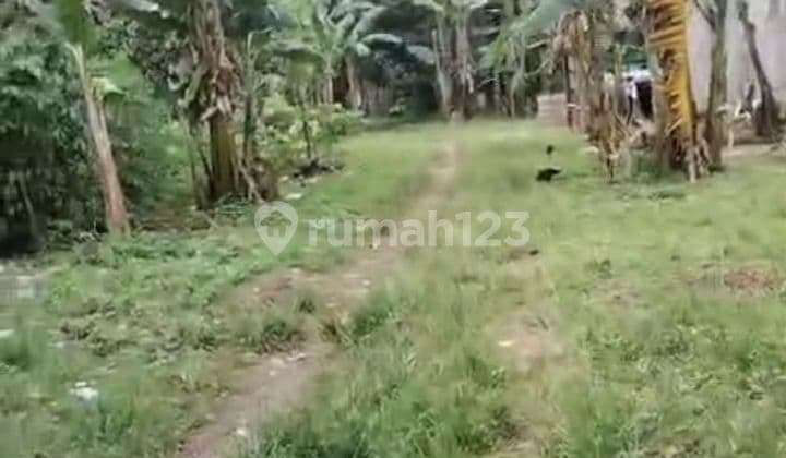 JUAL CEPAT Tanah Kosong di Ciangsana Cibubur Kab Bogor