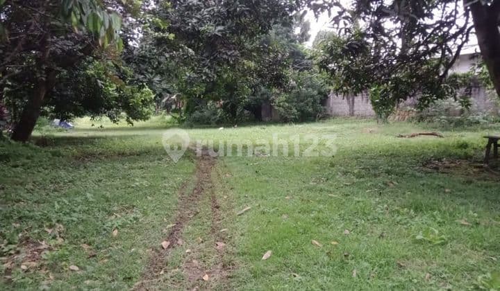 Jual Cepat Tanah Di Jln Raya Cibubur Kab Bogor