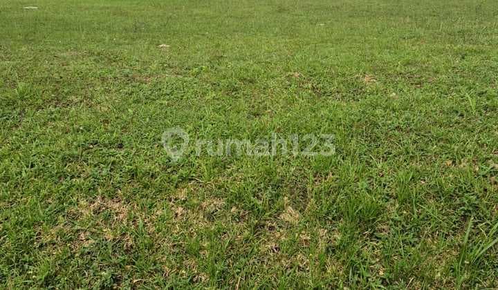 Kavling Cluster Citra Suvarna Sutera