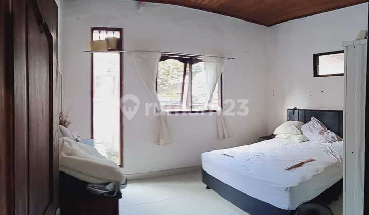 House in the Middle of Denpasar City