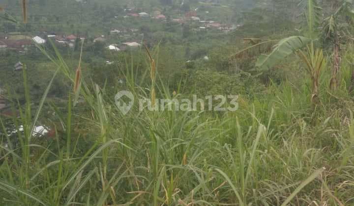 Dijual Tanah Lokasi Strategis