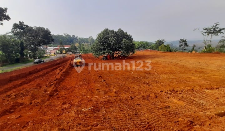 Dijual Tanah 1 Km Dekat Nestle Desa Wonosegoro,kecamatan Bandar, Kabupaten Batang. Shm