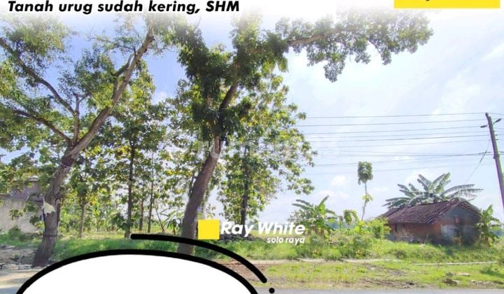 For Sale, Ready-to-Build Vacant Land For Sale, Ready-to-Build Vacant Land