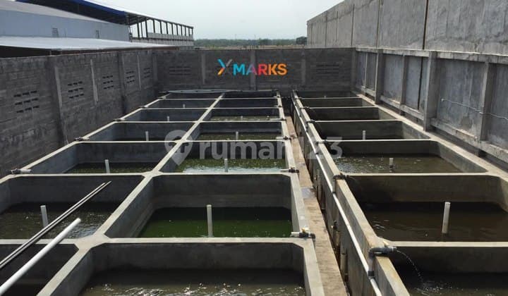 Dijual Tempat Usaha Kolam Hitung Tanah Di Grogol Solo Baru