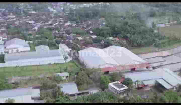 Ex Gudang Rokok Gebang Jember