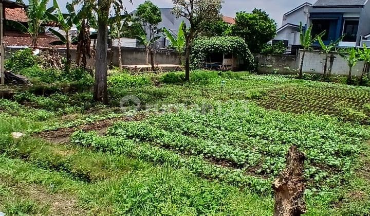 Jual Tanah Luas Di Sariwangi Bandung Barat