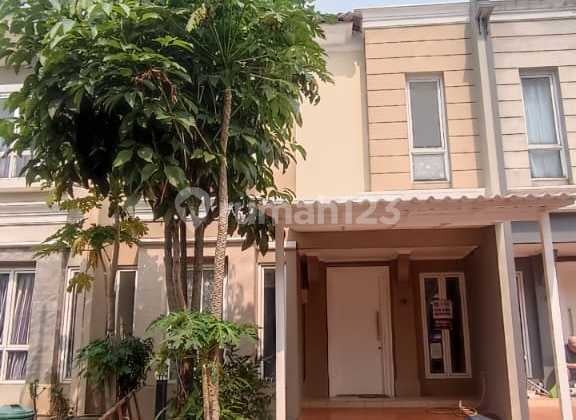 Disewakan Rumah Rapi Siap Huni Cluster Elista