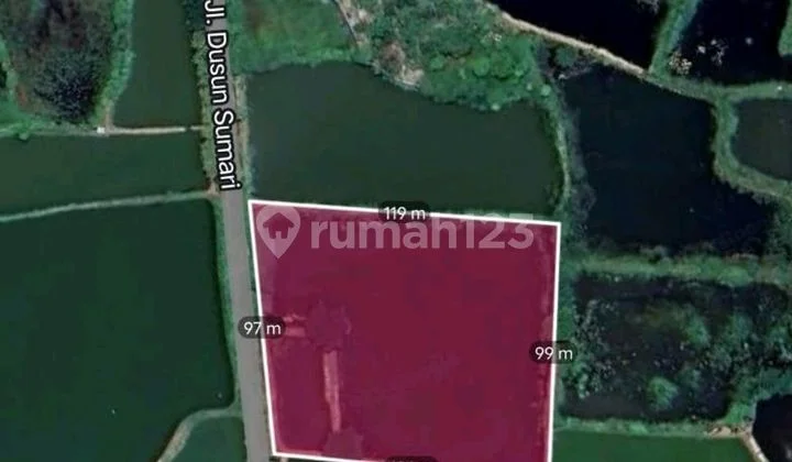 Selling Fishpond Land in Gresik Selling Fishpond Land in Gresik