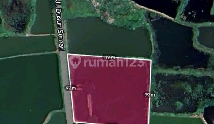 Selling Fishpond Land in Gresik