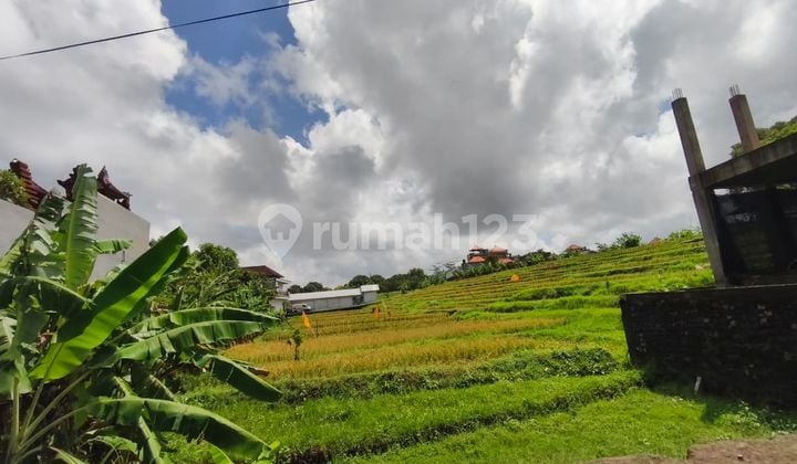 Tanah 400.0 M² Shm Di Sempidi Rn
