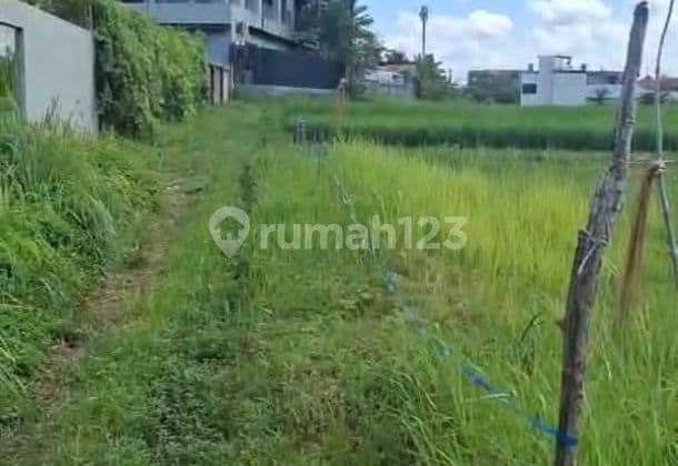 Tanah 400.0 M² Shm Itr Kuning Di Umalas Gp