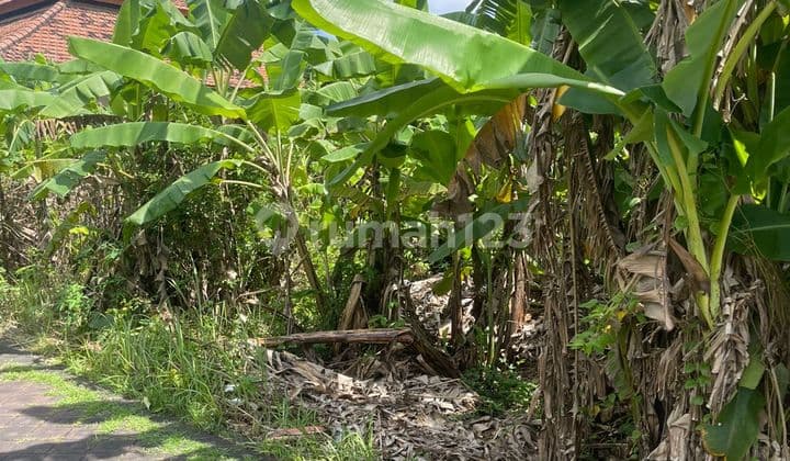 Tanah 400.0 M² Shm Di Tanjung Benoa 7585