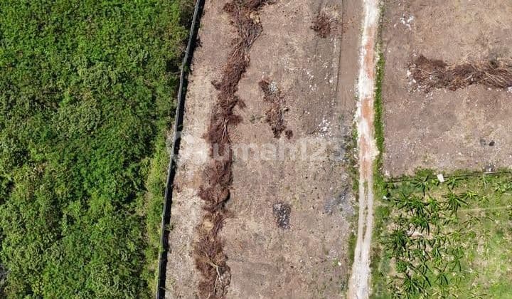 Tanah Kavling 183.0 M² Shm Dekat Citraland Ev