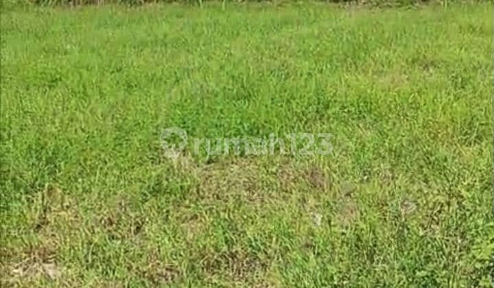 Tanah 600.0 M² Di Tukad Badung Renon Gp